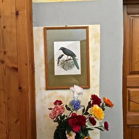 بيت ضيافة Maison Colombot