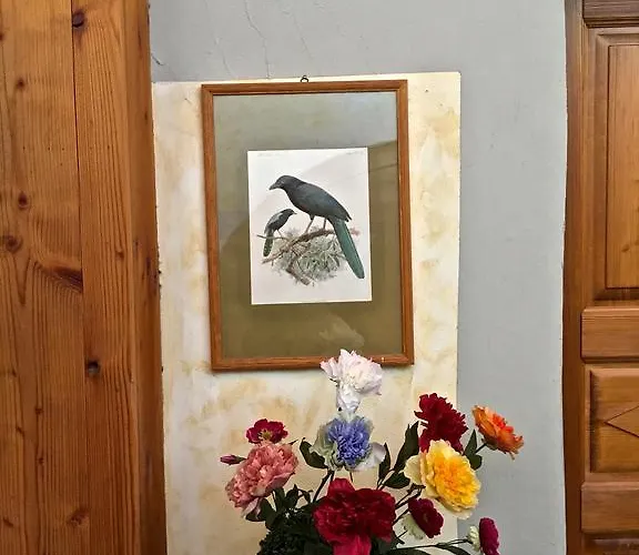 בית הארחה Maison Colombot